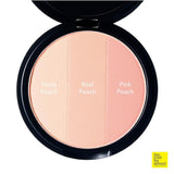 [TooCoolForSchool] Artclass By Rodin Blusher De Peche 9.5g
