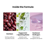 [PO:DL] Red Bean Panthenol Coolfit Gelfting Mask (4ea) (+Special Gift)